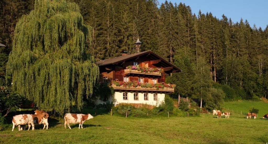 Ellmauhof Villa ฟาร์แวร์เฟน ภายนอก รูปภาพ
